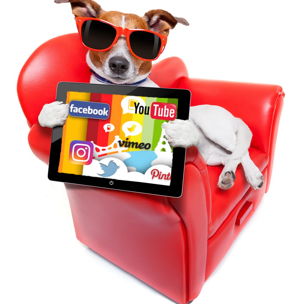 medstar-media-social-marketing medstar-media-social-marketing