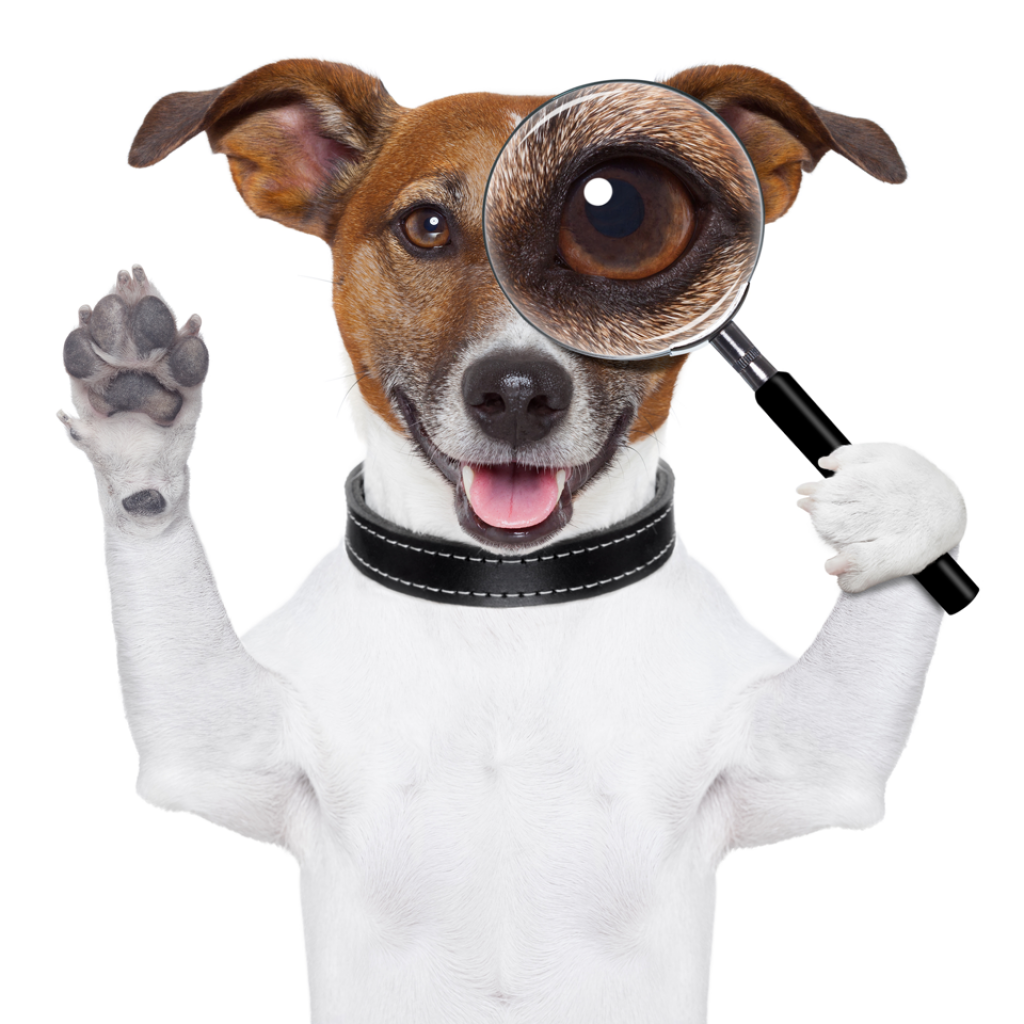 shutterstock_121980475-copy shutterstock_121980475-copy
