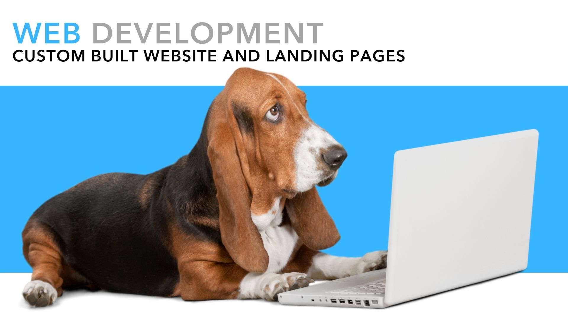 webdesign_medstarmedia_coolsculptingmarketing WEBSITE DESIGN