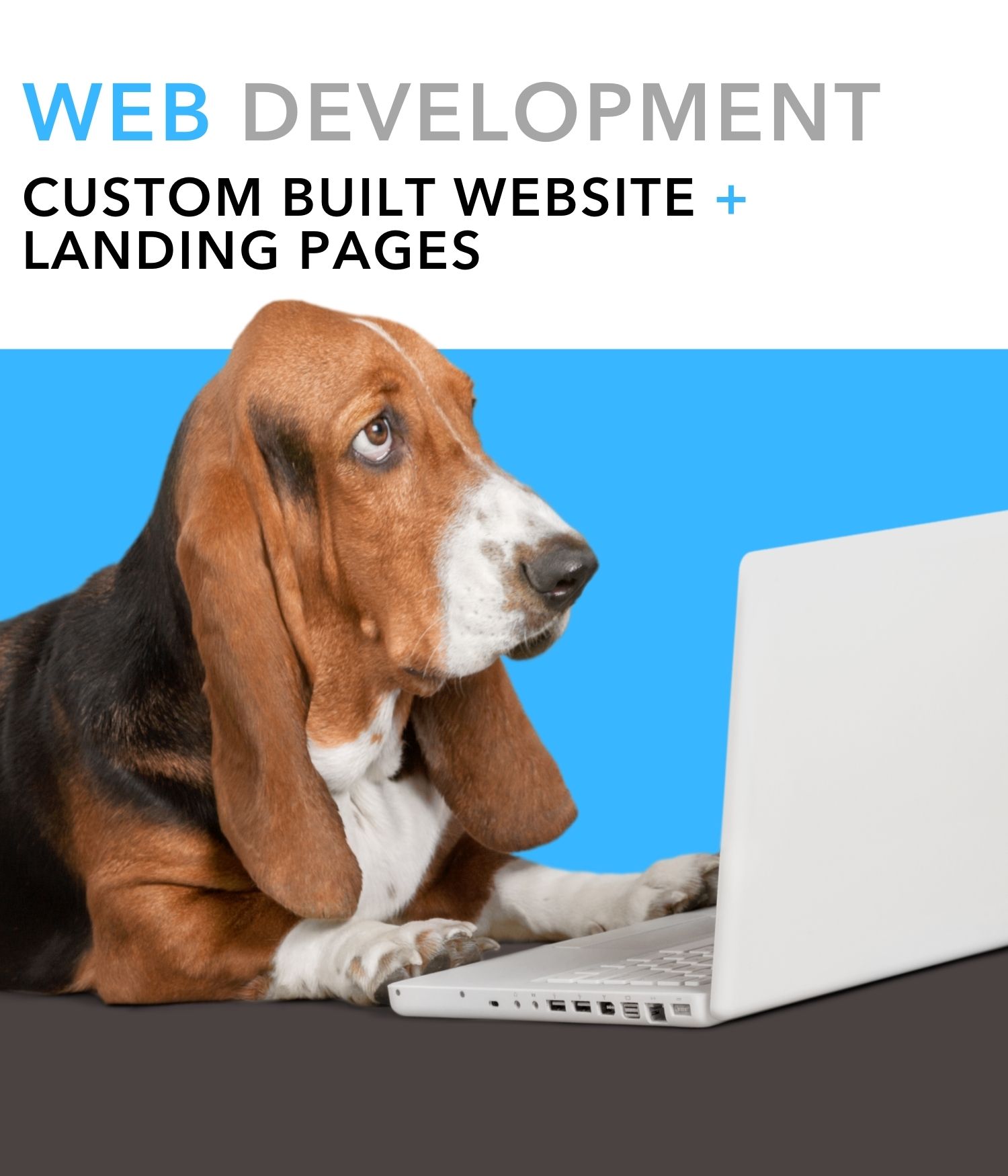 webdesign_medstarmedia_coolsculptingmarketing_mob WEBSITE DESIGN and DEVELOPMENT